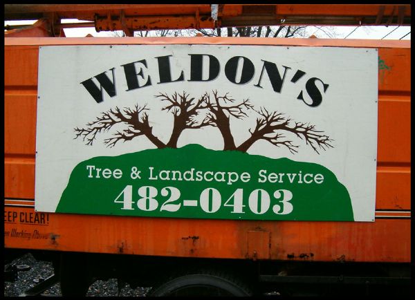Weldon’s Tree & Landscape Service