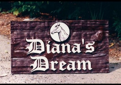 Diana’s Dream Sign