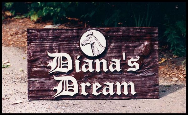 Diana’s Dream Sign