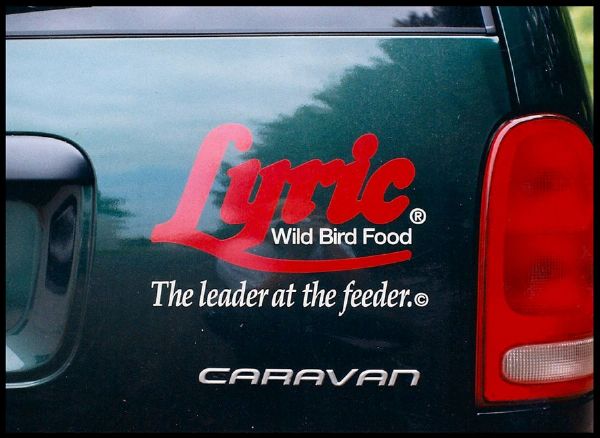 Lyric Wild Bird Food Vehicle Graphics